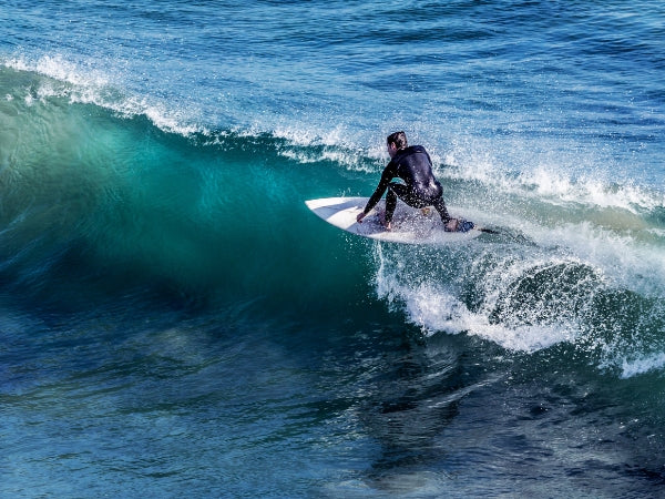 Sparter Portable Soft Cooler 12 Cans